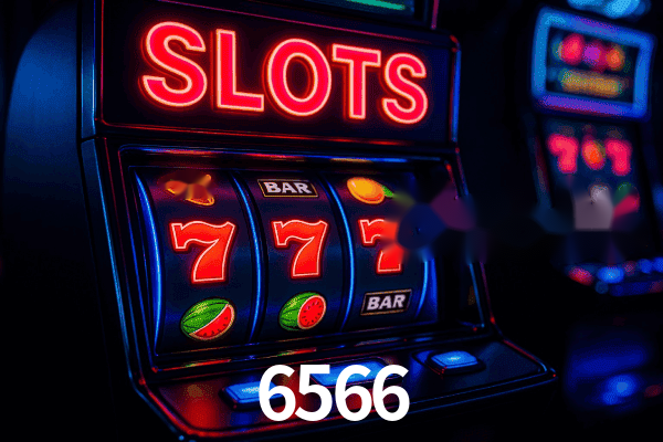 6566 visual 1